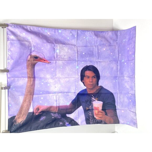 iCarly Spencer Shay iCarly Tapestry Flag Funny Dorm Room Decor … - Picture 2 of 7